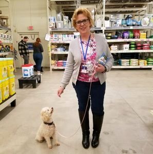 Meet your Posher, Ann